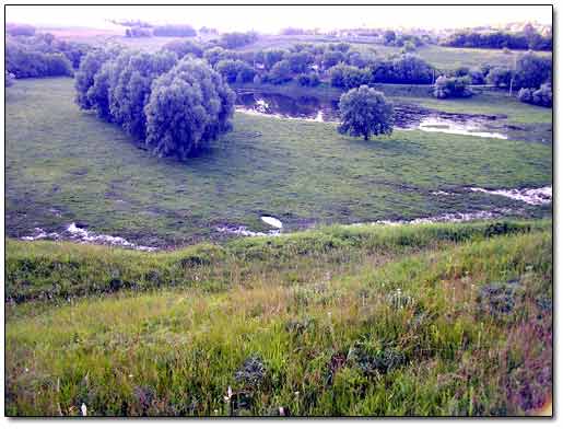 Empty Water Basin