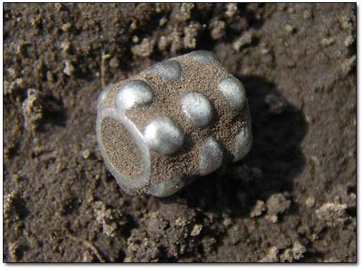 Part of Medieval Silver Earring