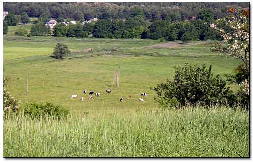 View From the Plateau