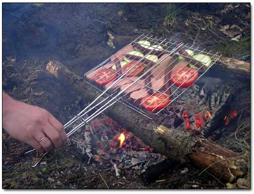 Cooking Food on the Grill