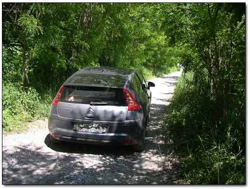 Driving On a Deserted Path