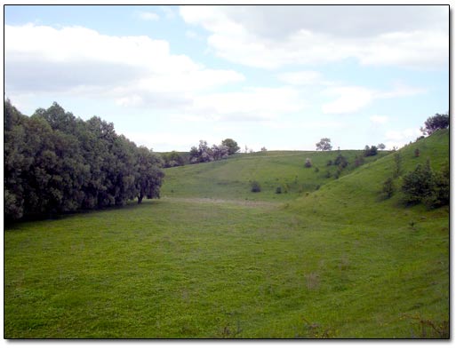 Empty Water Basin