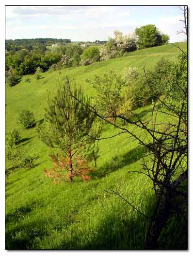 Steep Slopes