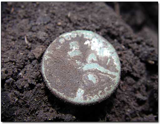 Dug Roman Bronze Coin