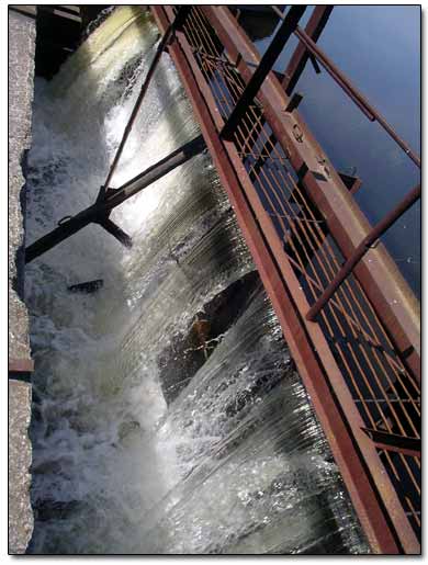 Iron Sluice