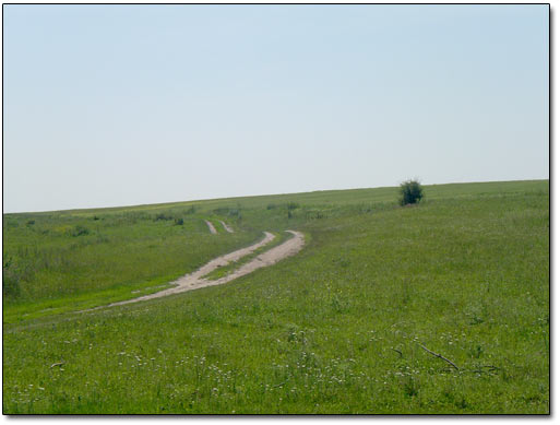 Settlement Site in Field