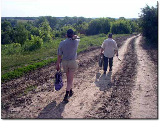 Walking Under Direct Sun