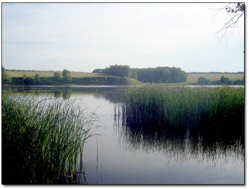 Picturesque View on River