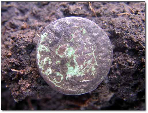 Dug Copper Coin