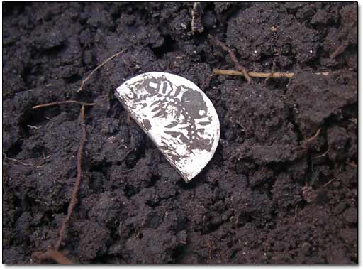 Silver Coin Bent by Shovel 1