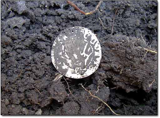Thin Silver Coin