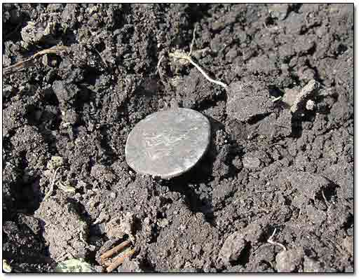 Silver Coin Found