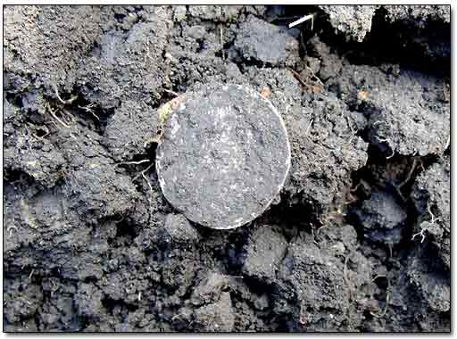Dug Silver Coin