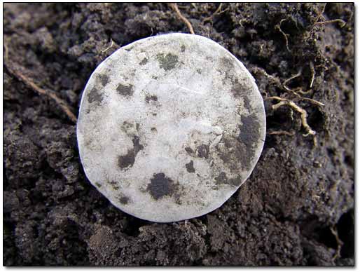 Dug Silver Coin 1