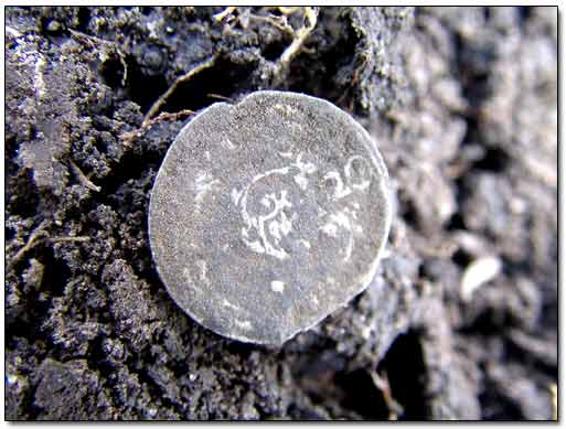 Silver Coin in Dirt
