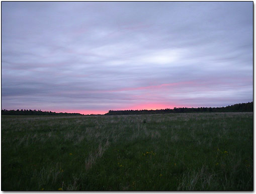 Vast Farm Field