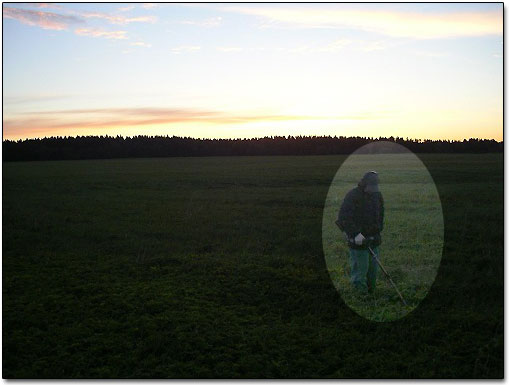 Marina Detecting in the Field