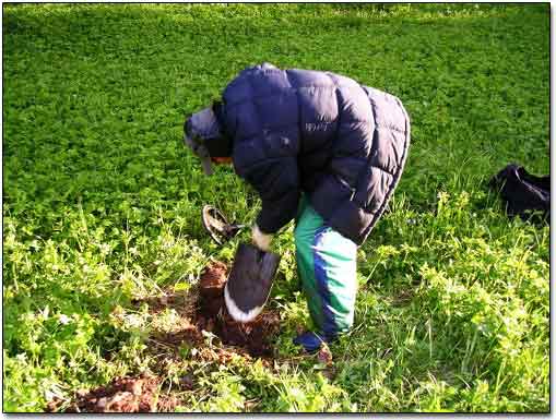 Marina Digging a Target Again