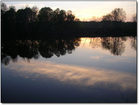 nice sunset scene on the river