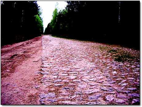 Medieval Cobbled Road