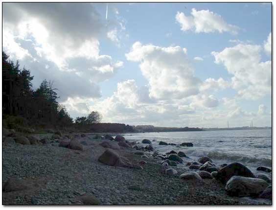 Baltic Sea Shore