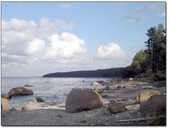 Baltic Sea Shore