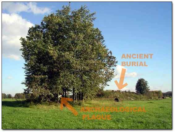 Archaeological Site with Ancient Burial Mound