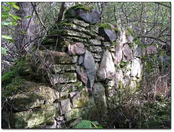 Remains Of Foundation