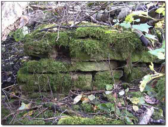 Corner Of Another Foundation
