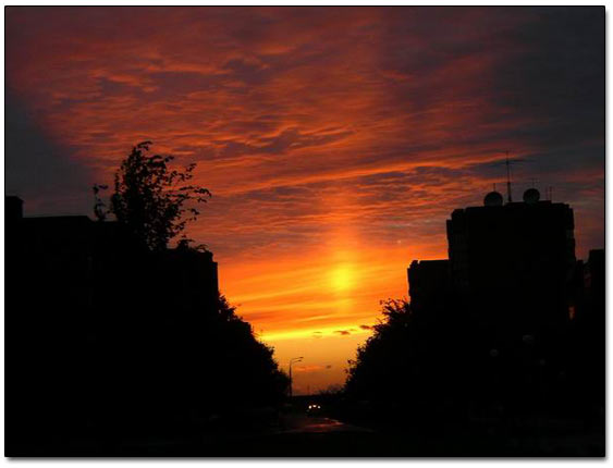 Gorgeous Sunset In Estonia