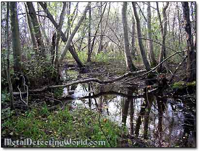 Brook Next to Foundation