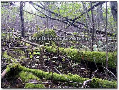 Fell Trees