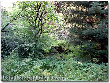 Stonewall Visible Through the Green