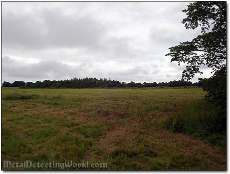 Field Metal Detecting