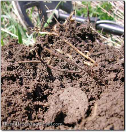 Copper Coin Dug Up