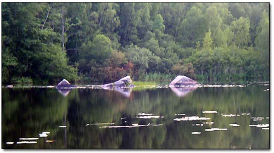 Karelian Landscape