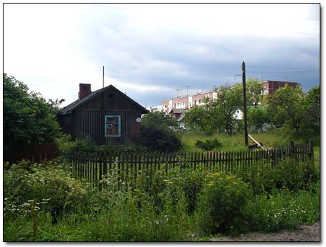 Wooden House