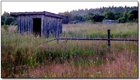 Tool Sheds Built Recently