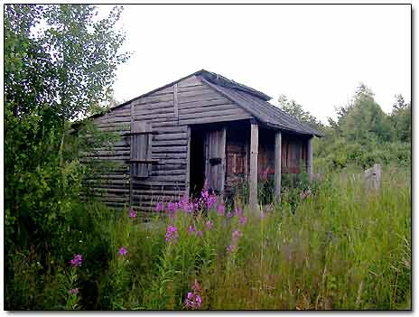 Wooden Shack