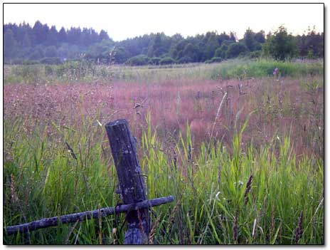 Ghost Village Site