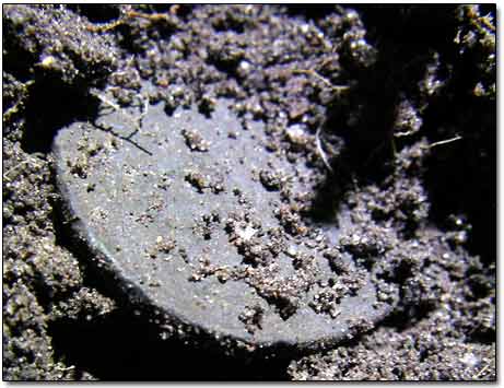 Coin with Strong 18th Century Patina