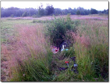 Tall Grass Shelter