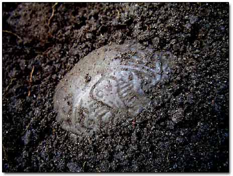 Bronze Relic with Pattern