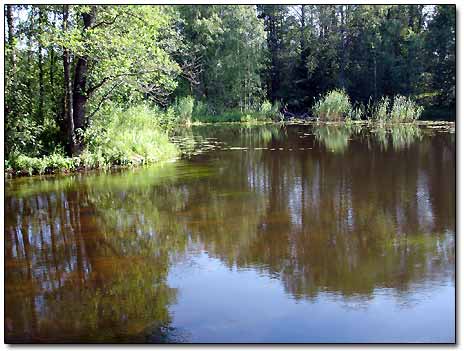 Vuoksi River's Tributary