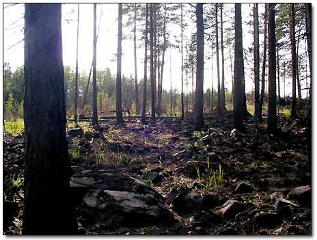 Rocky Terrain in Karelia