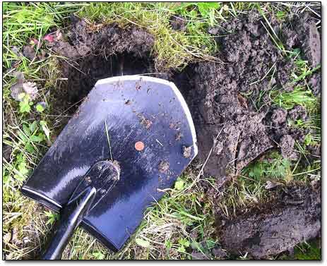 A Small Coin on the Shovel Blade