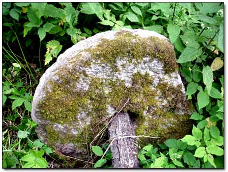 Large Millstone