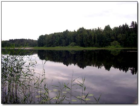 Calm River