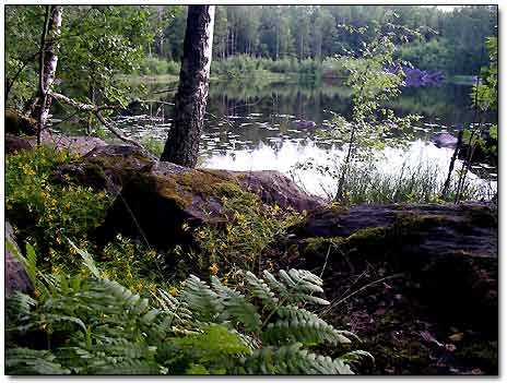 Quiet Backwater