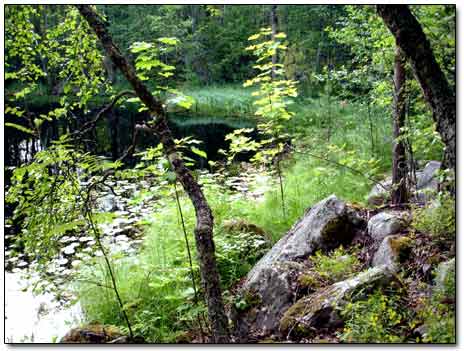 Small Lake-Filled Hollow